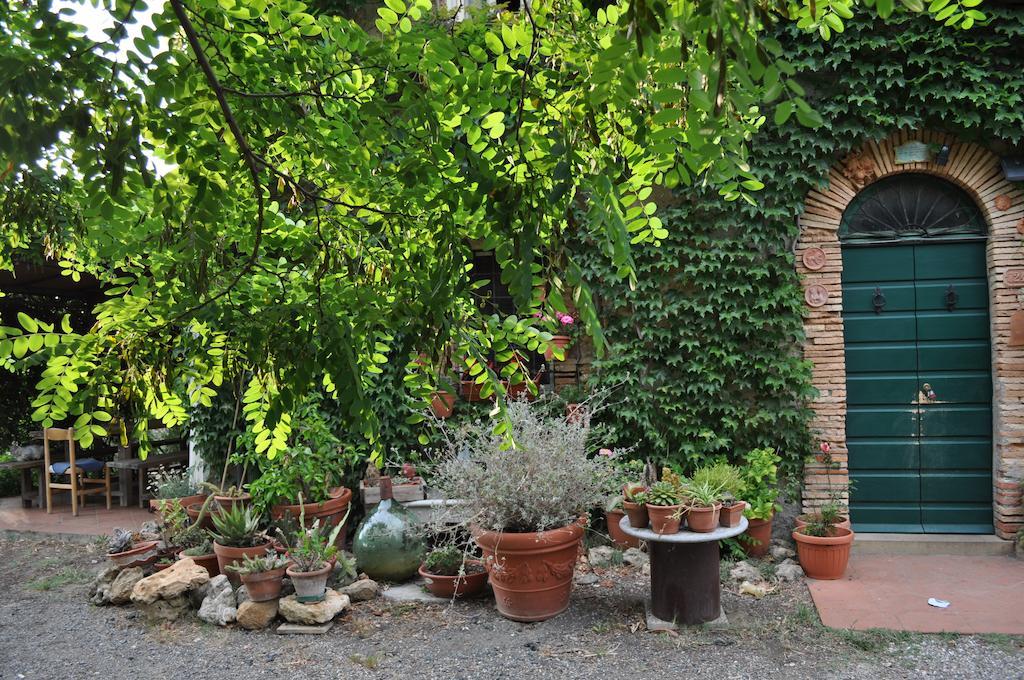 비보나 Agriturismo La Leccia 빌라 외부 사진