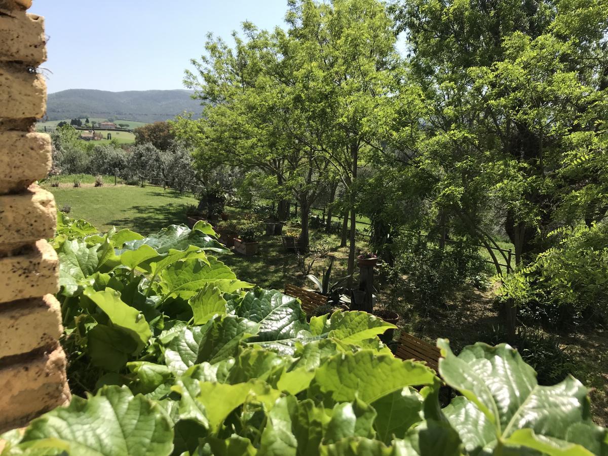 비보나 Agriturismo La Leccia 빌라 외부 사진