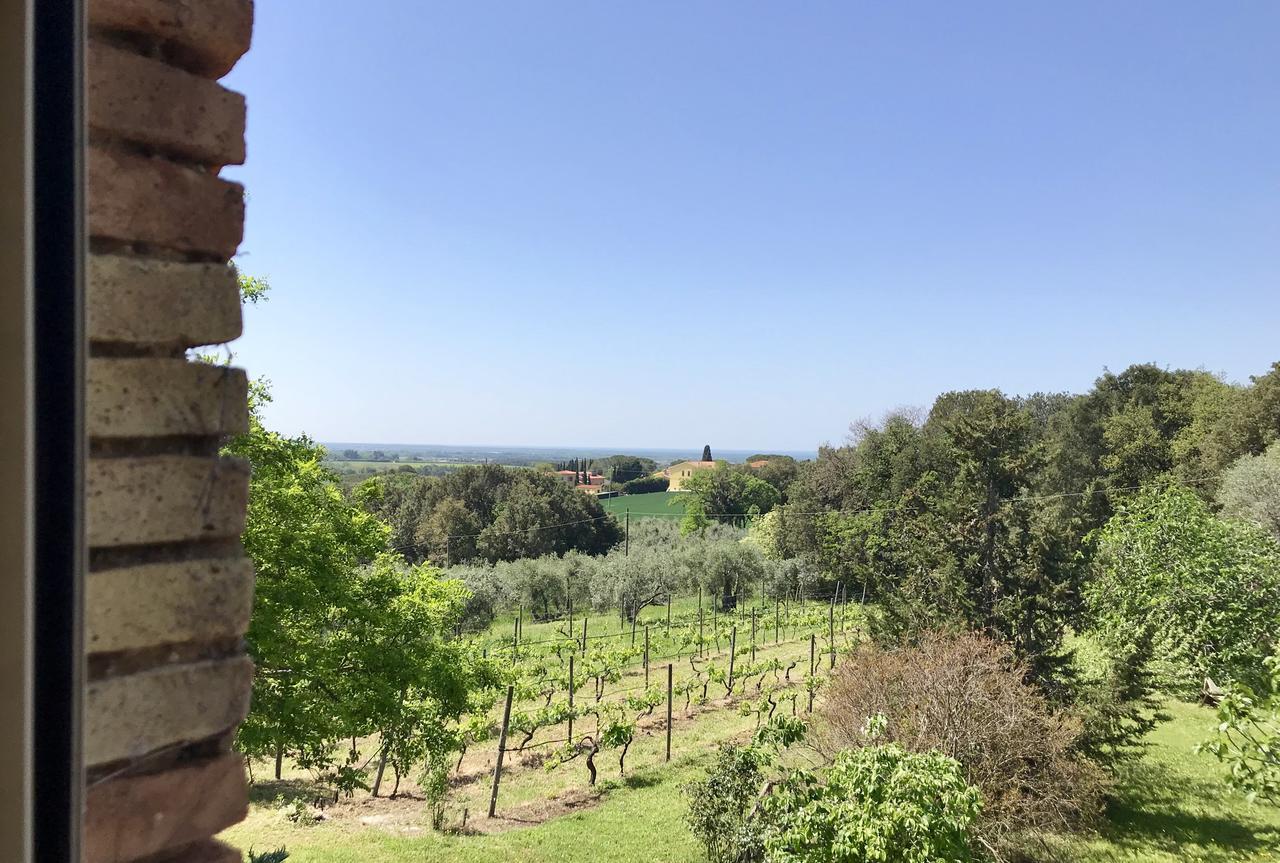 비보나 Agriturismo La Leccia 빌라 외부 사진